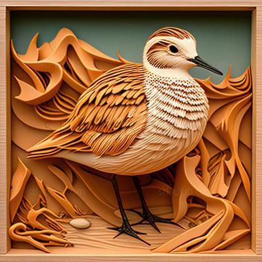 3D model st dotterel (STL)